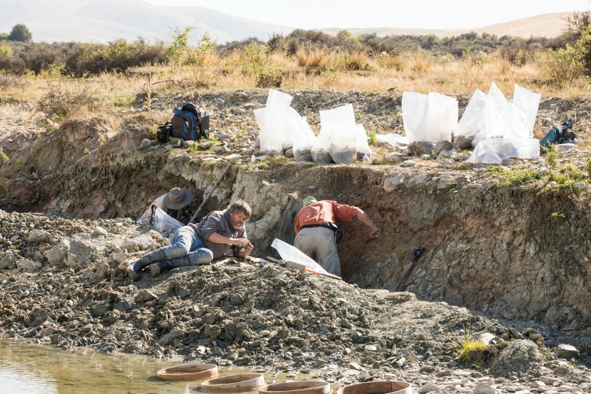 Palaeontologists Leigh Love, Dr Paul Scofield and Al Mannering work at the St Bathans dig site.