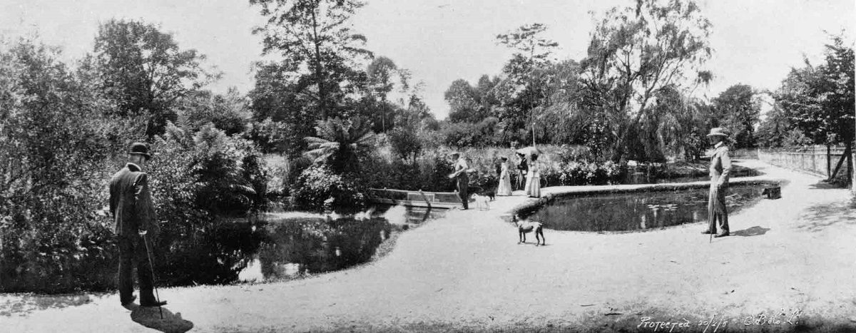 The Acclimatisation Garden in Hagley Park. Canterbury Museum 1955.81.682. No known copyright restrictions