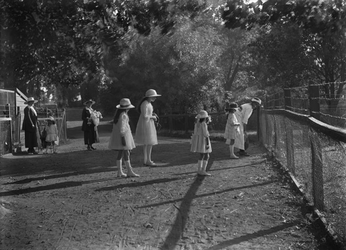 The Acclimatisation Garden in Hagley Park. Canterbury Museum 1968.213.518. No known copyright restrictions