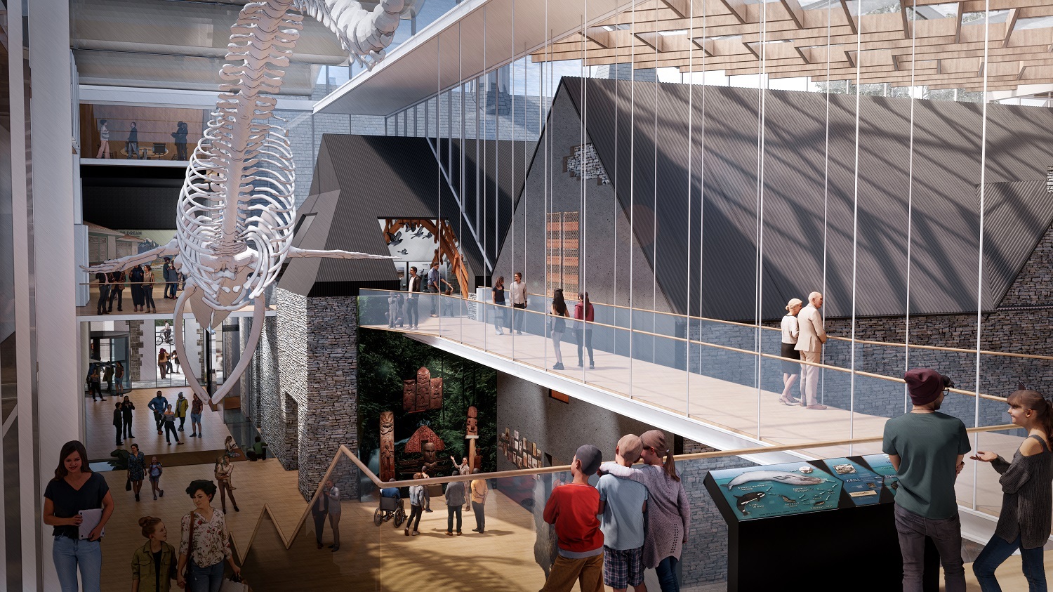 Concept designs for the Museum's proposed redevelopment show the blue whale skeleton on display in a new full-height atrium.