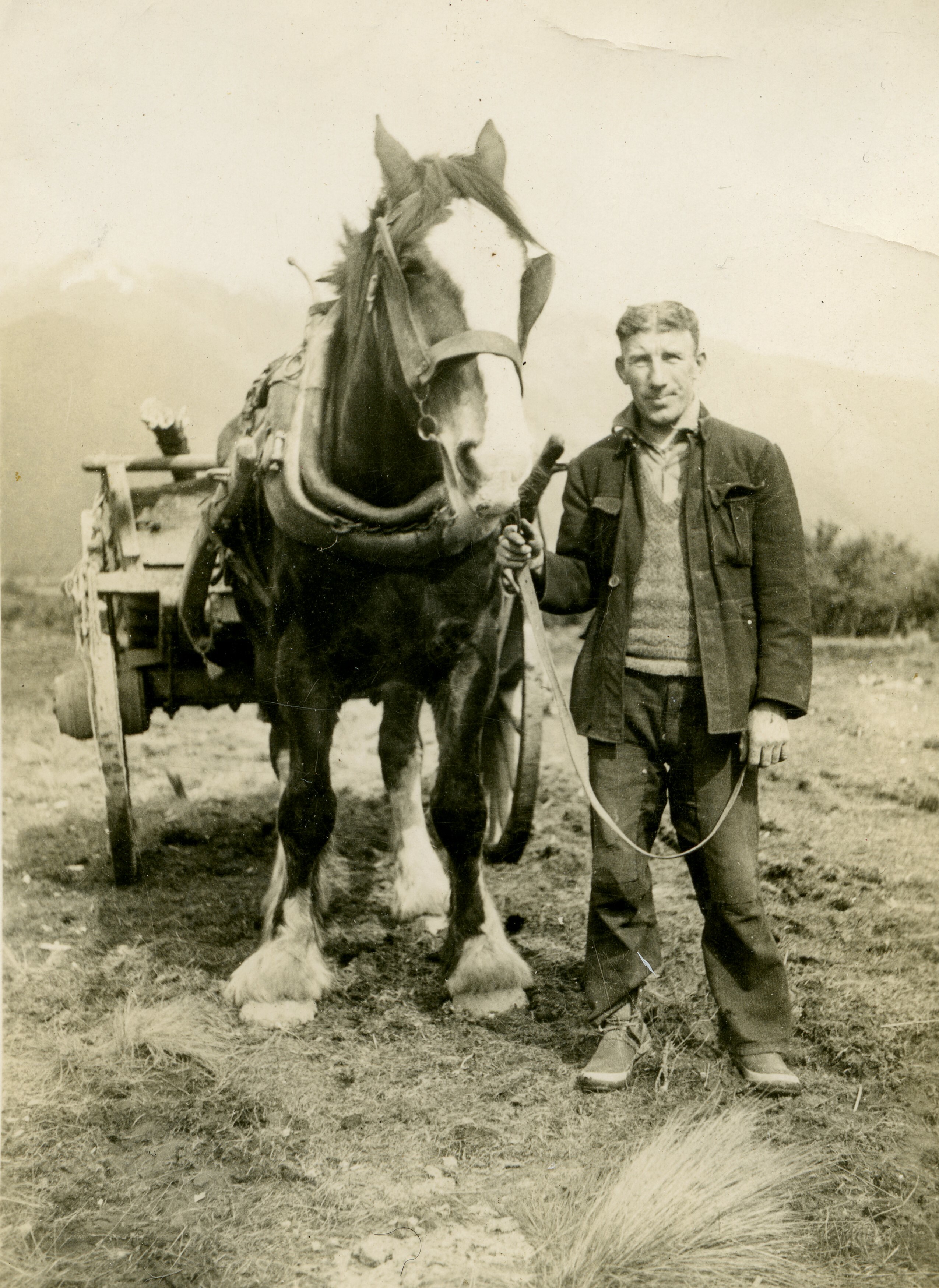 Roy Murphy with horse and cart while building the Lewis Pass Road. Canterbury Museum 2018.13.30.No known copyright restrictions