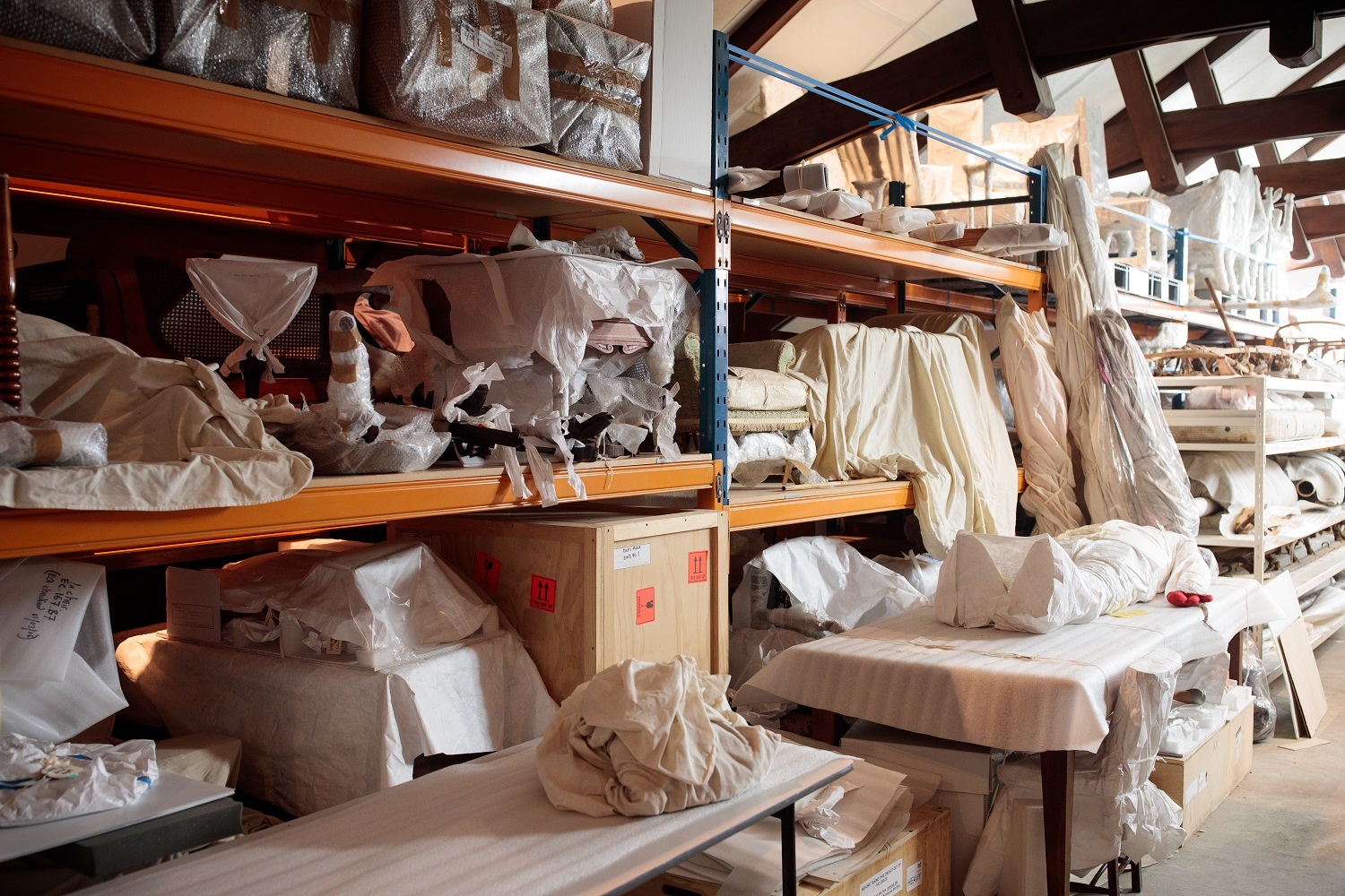 Storage shelves in the Mammal Attic. Exposed tōtara roofing beams are visible in the top right hand corner of the image.