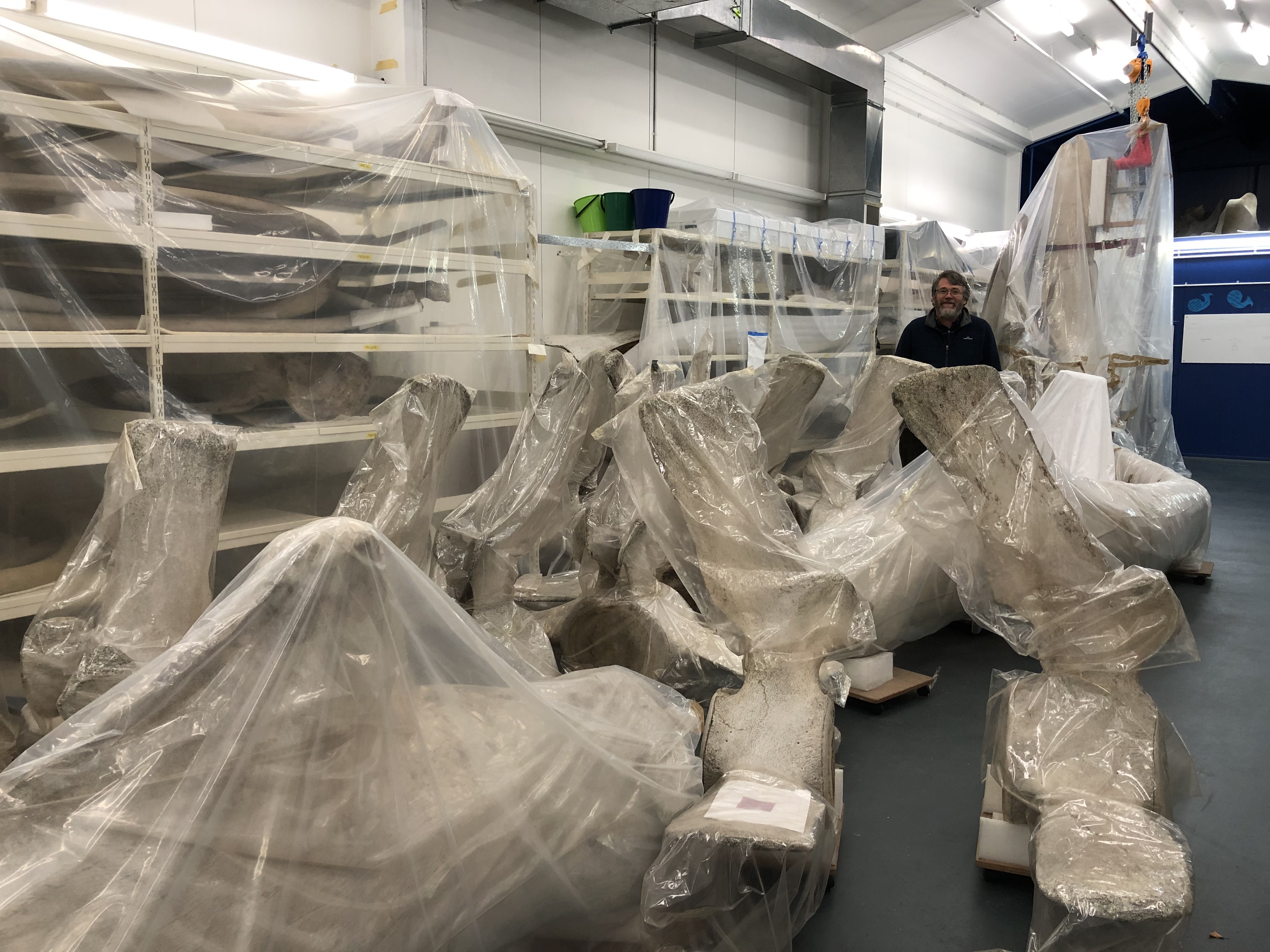 Senior Curator Natural History Paul Scofield in the Whale Storeroom.