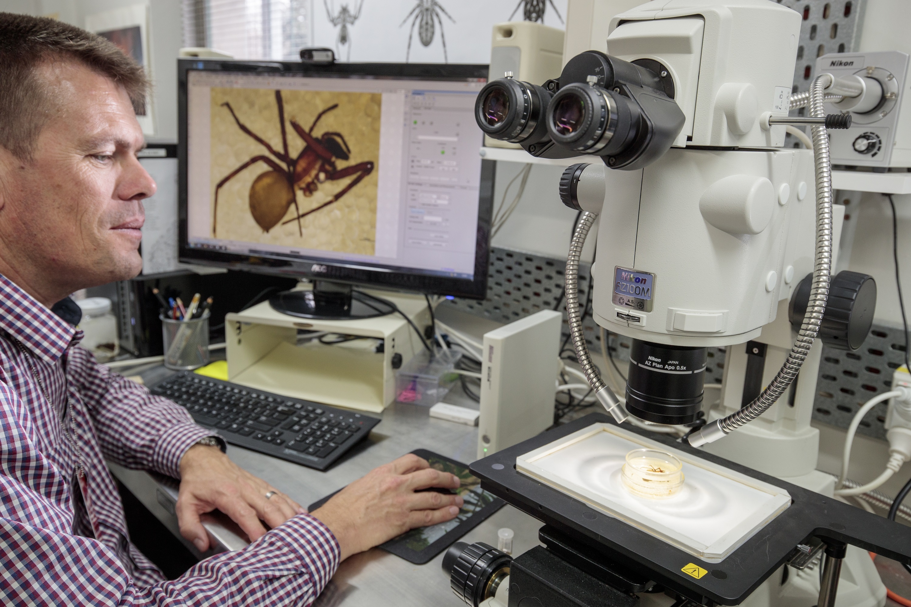 Cor Vink, Curator Natural History at Canterbury Museum