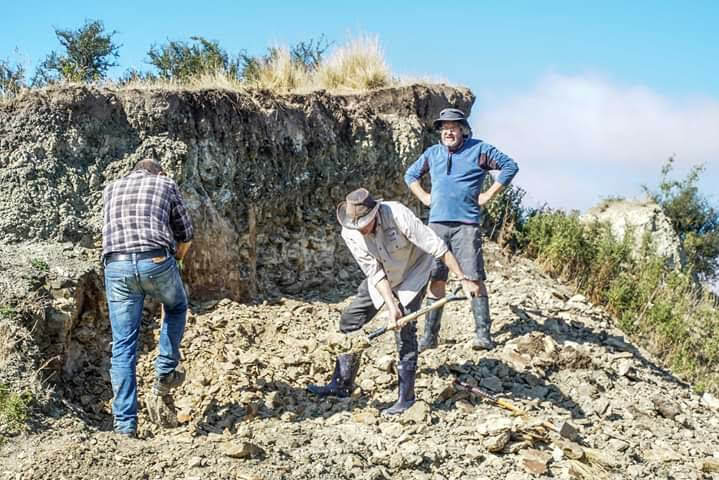 Palaeontologists excavating fossils from the riverbank at the St Bathans site.