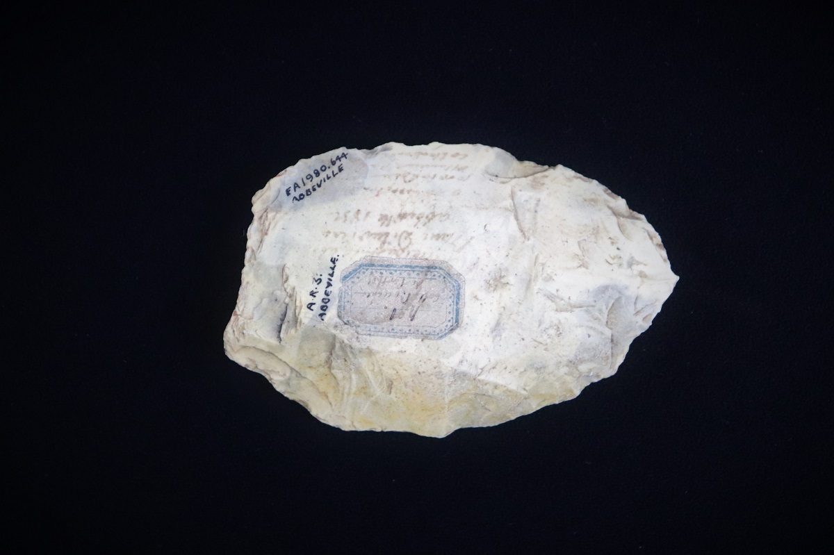 This Acheulean hand axe was likely crafted by an ancient human species. Canterbury Museum 1980.644