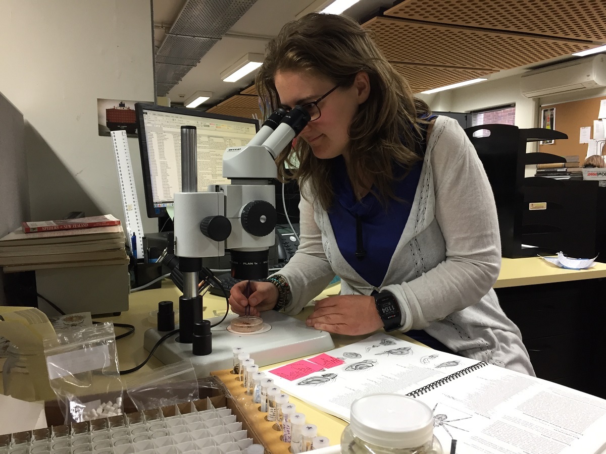 Associate Curator Natural History Victoria Smith