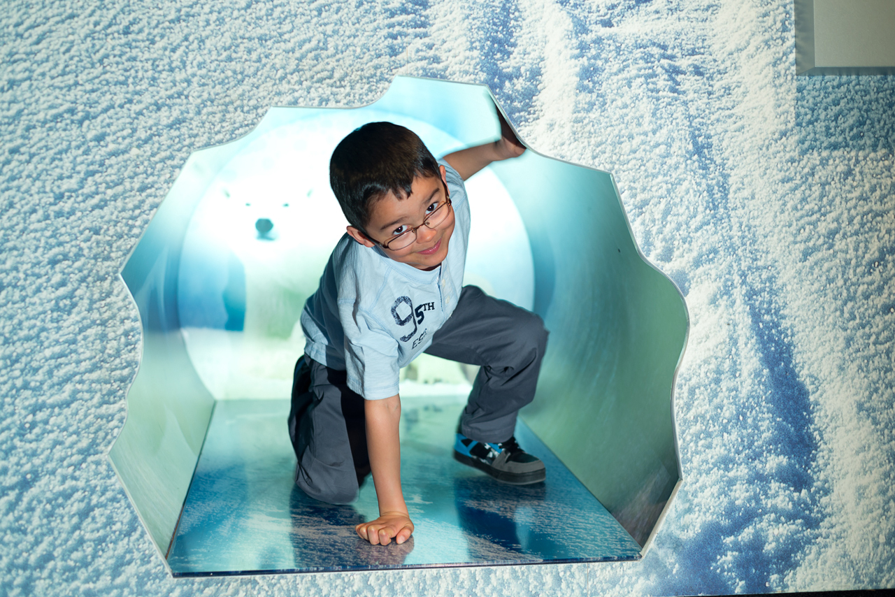 Explore a replica polar bear den at Arctic Voices.