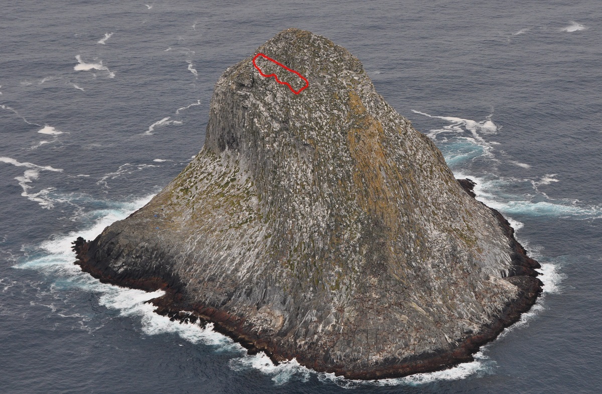 Tarakoikoia with the location of Mollymawk Ledge in red. CJR Robertson 2009.