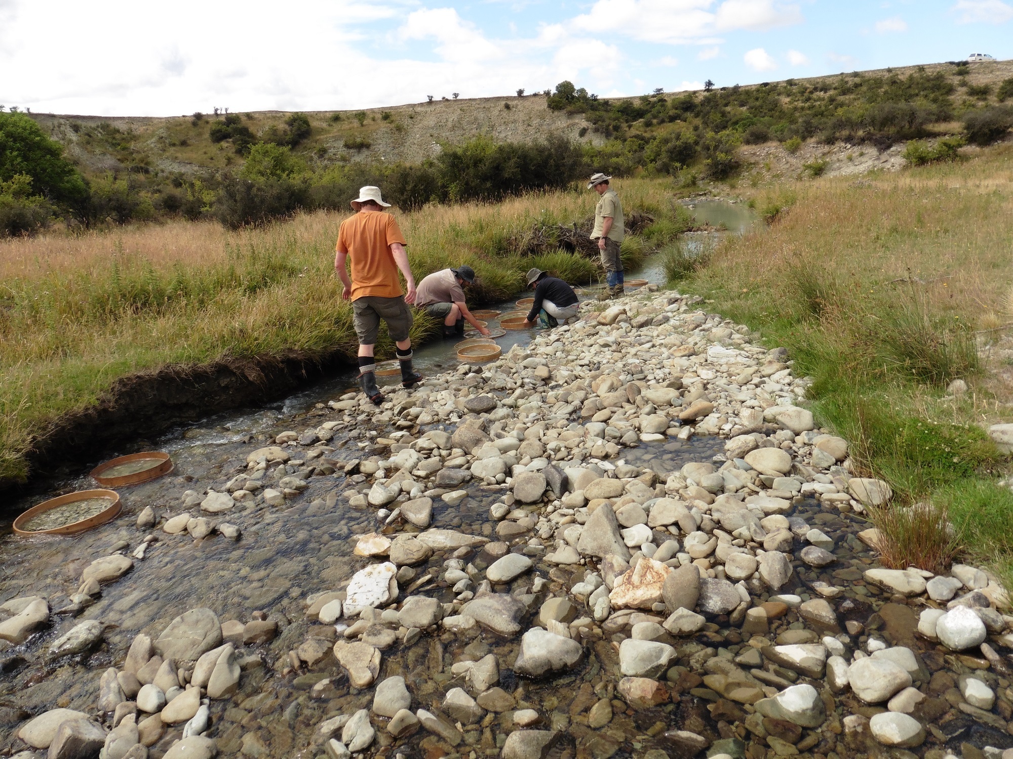 L To R: Alan Tennyson, Dr Paul Scofield, Dr Vanesa De Pietri and Dr Trevor Worthy sieving sediment at Mata Creek where crocodile fossils have been found. Image: Al Mannering