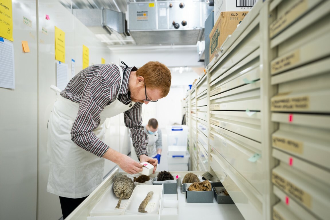 Museum staff members Johnathon Ridden (front) and Brydie Lauder pack specimens for the move in the Museum's Geology storeroom.