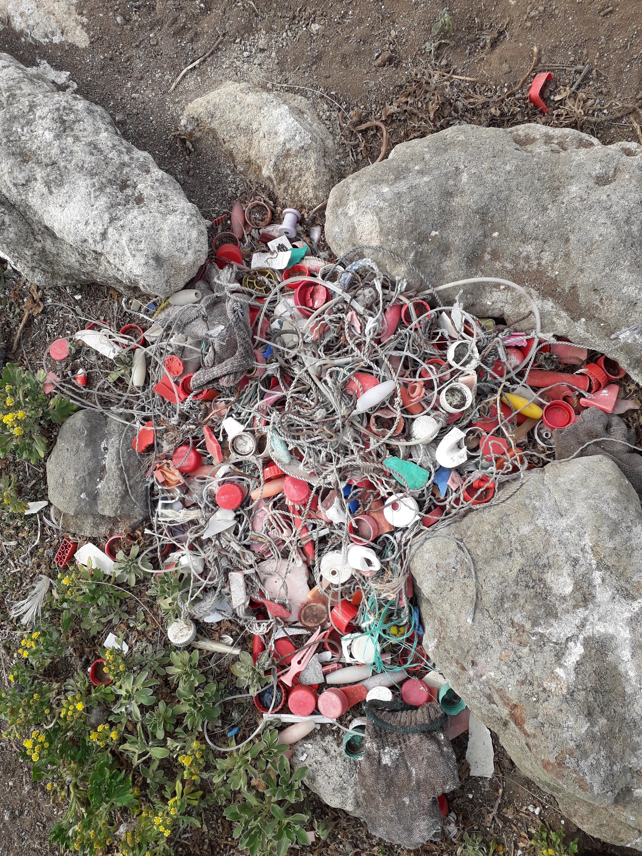 Plastics collected from albatross nesting sites on Big Sister in 2017. Credit: Mike Bell