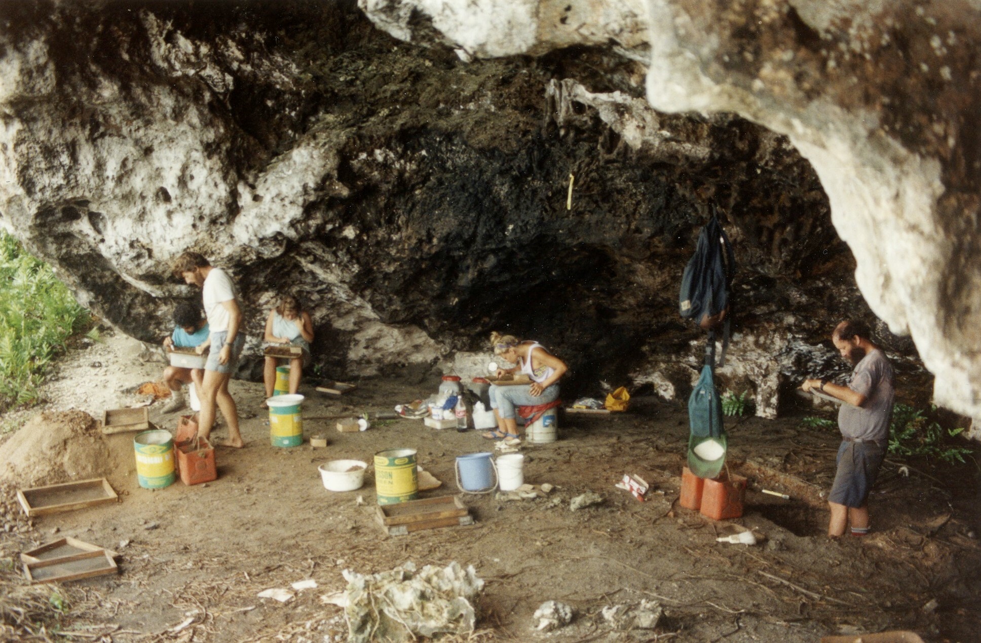 The Henderson Island Sandpiper bones were excavated from caves during the Sir Peter Scott Commemorative Expedition in the early 1990s. Canterbury Museum Visiting Researcher Dr Graham Wragg, one of the paper's co-authors, is second from left in this photo.