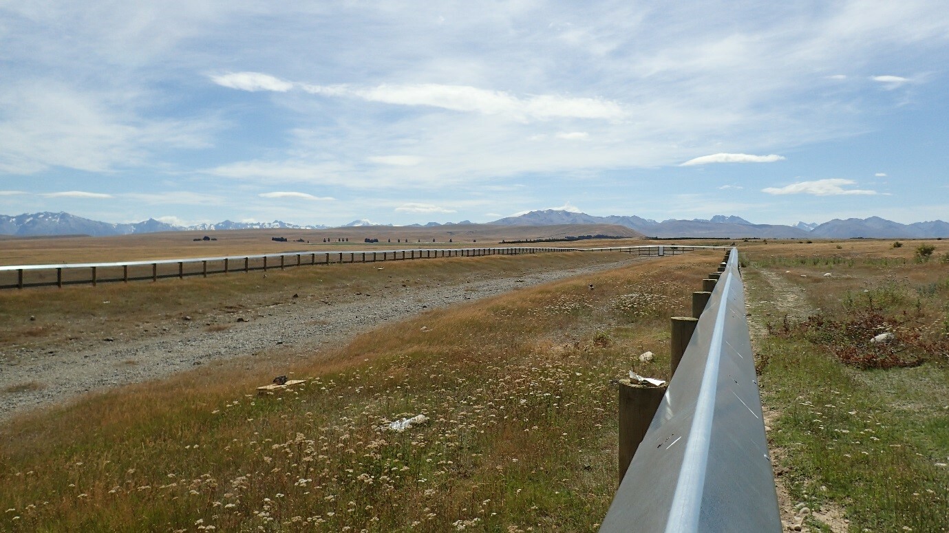 Predator exclusion fence surrounding a section of gravel road where a population of robust grasshoppers is thought to have established when the road was built in the 1970s as part of the Tekapo canal construction. Tara Murray, All Rights Reserved