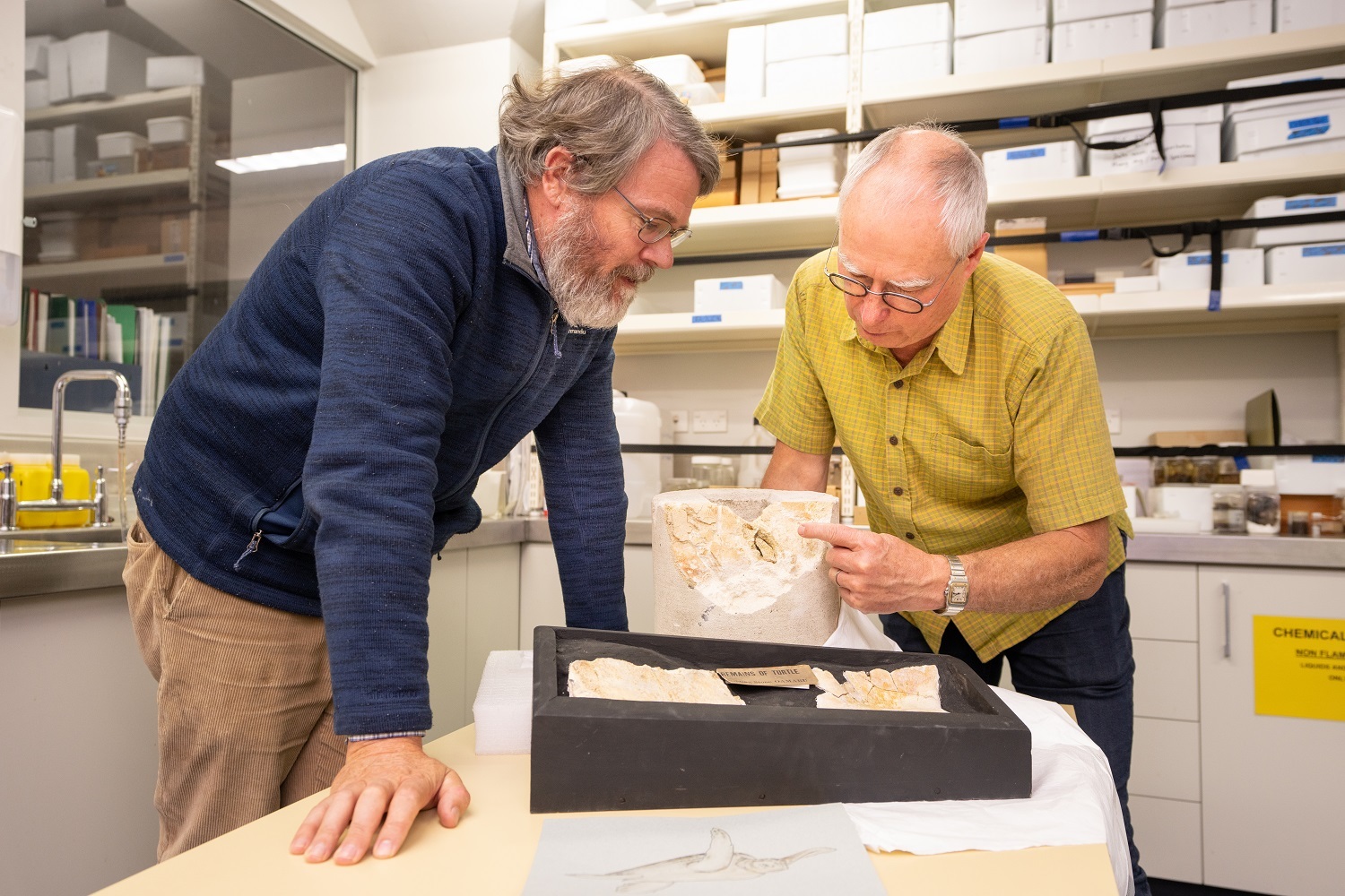 Canterbury Museum Senior Curator Paul Scofield, left, and sculptor Paul Deans examine the turtle fossils.