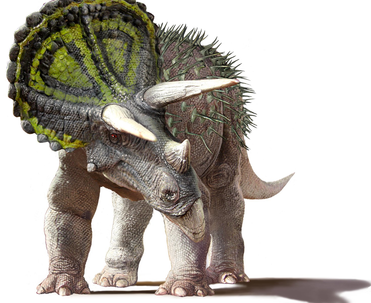 Coahuilaceratops, a relative of the more widely-known Triceratops, was found in Mexico.