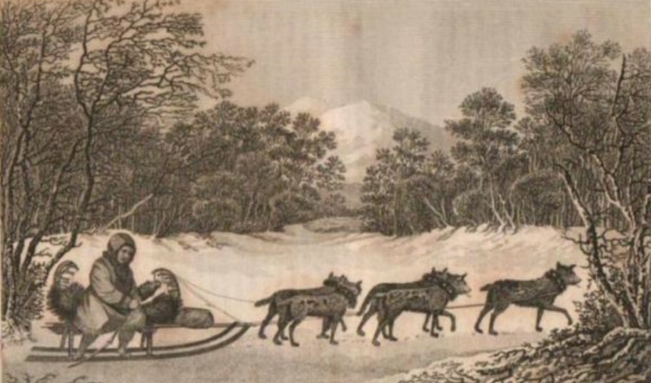 Illustration showing dog sledging in Siberia from Captain James Cook’s A Voyage to the Pacific Ocean, Vol. III.