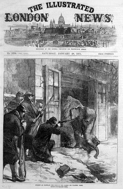 The cover of the Illustrated London News from 1871 shows the elephants from the Jardin des Plantes being killed for food during the siege of Paris.