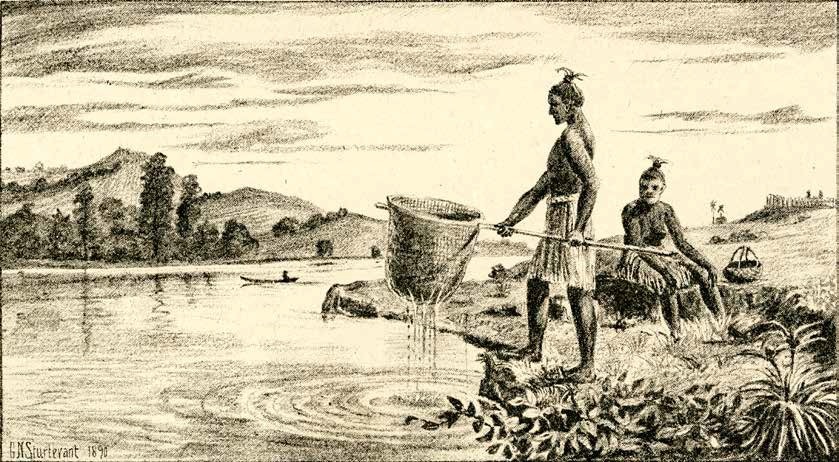 Historic illustration showing Māori fishermen catching īnaka. Reproduced from J White's Ancient History of the Māori, published in 1891