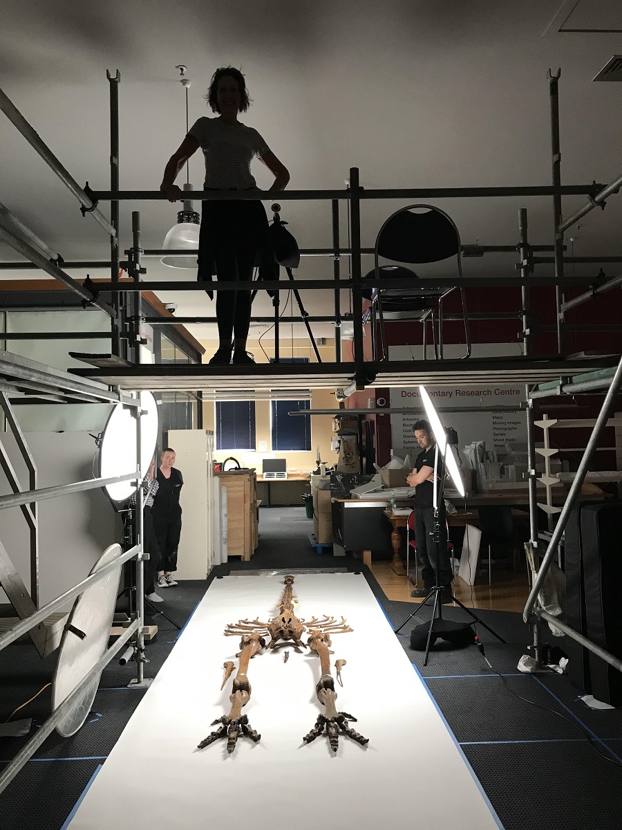 Jane Ussher (above) photographs a moa skeleton for the Canterbury Museum book