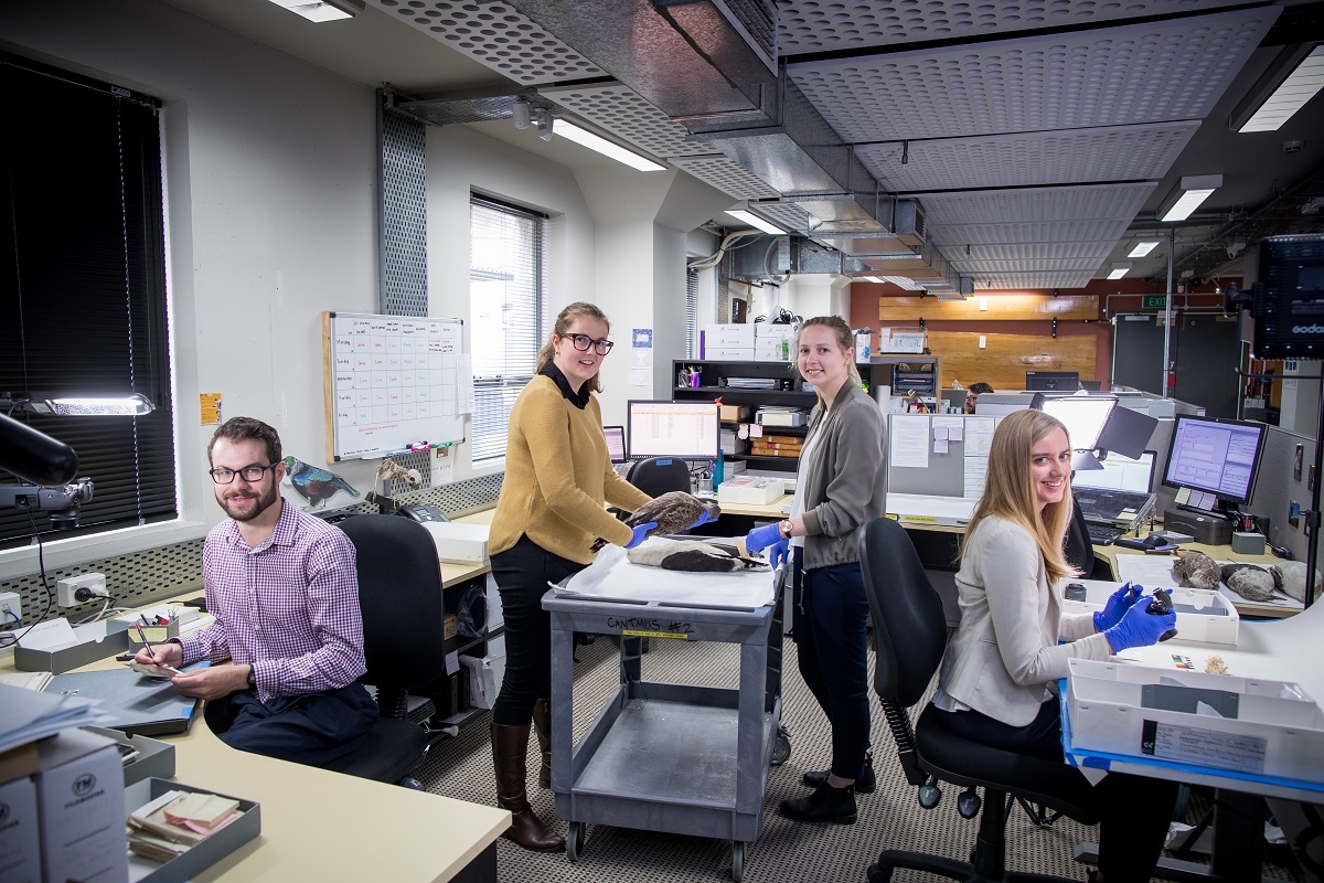 Inventory Team members (from left): Chris Hoopmann, Ashley Boot, Julia Nicholls and Emily Anderson.